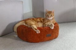 Designed By Lotte Kattenmand Terracotta D 50 H 17 Cm -Designed By Lotte 8712695203797 6