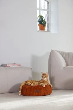 Designed By Lotte Kattenmand Terracotta D 50 H 17 Cm -Designed By Lotte 8712695203797 7