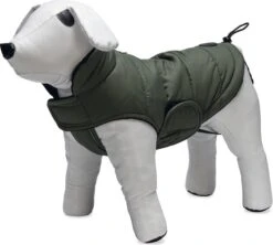 Designed By Lotte Hondenjas Zhanti Groen 28 X 46 X 34,5 Cm