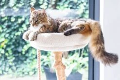 Designed By Lotte Krabpaal Vilja Crème 50 X 50 X 110 Cm 26 Designed By Lotte Krabpaal Vilja Crème 50 X 50 X 110 Cm -Designed By Lotte 8712695207894 10