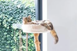 Designed By Lotte Krabpaal Vilja Crème 50 X 50 X 110 Cm 27 Designed By Lotte Krabpaal Vilja Crème 50 X 50 X 110 Cm -Designed By Lotte 8712695207894 11