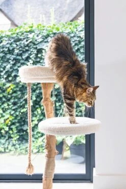 Designed By Lotte Krabpaal Vilja Crème 50 X 50 X 110 Cm 28 Designed By Lotte Krabpaal Vilja Crème 50 X 50 X 110 Cm -Designed By Lotte 8712695207894 12