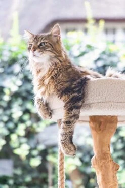 Designed By Lotte Krabpaal Vilja Crème 50 X 50 X 110 Cm 30 Designed By Lotte Krabpaal Vilja Crème 50 X 50 X 110 Cm -Designed By Lotte 8712695207894 14