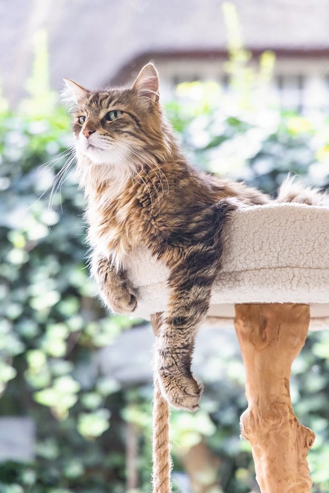 Designed By Lotte Krabpaal Vilja Crème 50 X 50 X 110 Cm 16 Designed By Lotte Krabpaal Vilja Crème 50 X 50 X 110 Cm - Afbeelding 14