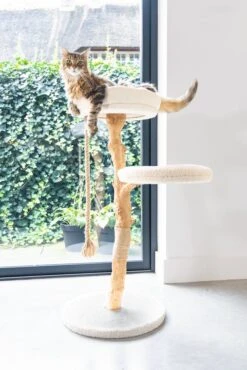 Designed By Lotte Krabpaal Vilja Crème 50 X 50 X 110 Cm 31 Designed By Lotte Krabpaal Vilja Crème 50 X 50 X 110 Cm -Designed By Lotte 8712695207894 15