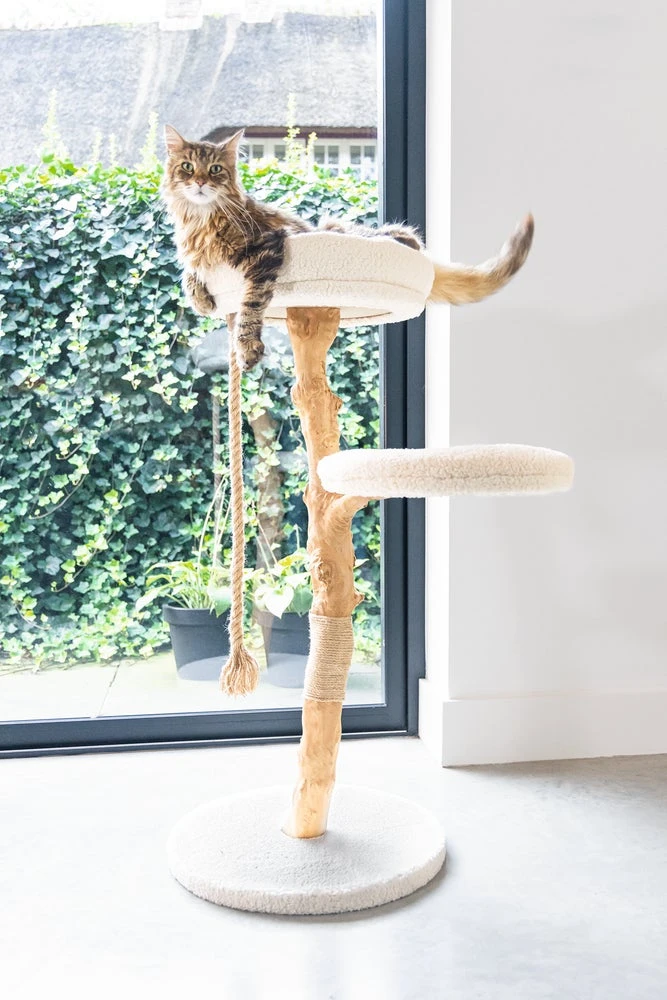 Designed By Lotte Krabpaal Vilja Crème 50 X 50 X 110 Cm 17 Designed By Lotte Krabpaal Vilja Crème 50 X 50 X 110 Cm - Afbeelding 15