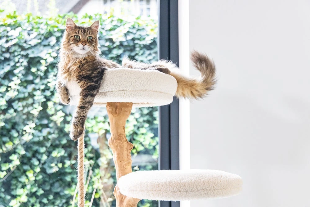 Designed By Lotte Krabpaal Vilja Crème 50 X 50 X 110 Cm 10 Designed By Lotte Krabpaal Vilja Crème 50 X 50 X 110 Cm - Afbeelding 8