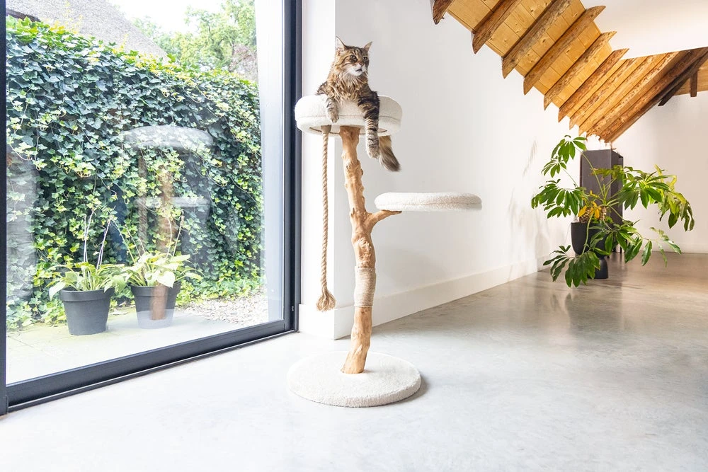 Designed By Lotte Krabpaal Vilja Crème 50 X 50 X 110 Cm 11 Designed By Lotte Krabpaal Vilja Crème 50 X 50 X 110 Cm - Afbeelding 9