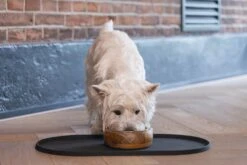 Designed By Lotte Placemat Antraciet 45 X 25 X 1,5 Cm -Designed By Lotte 8712695211372 5