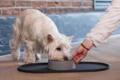 Designed By Lotte Placemat Antraciet 45 X 25 X 1,5 Cm -Designed By Lotte 8712695211372 7