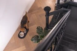 Designed By Lotte Placemat Oona Antraciet 55 X 30 X 1,7 Cm 13 Designed By Lotte Placemat Oona Antraciet 55 X 30 X 1,7 Cm -Designed By Lotte 8712695211389 4