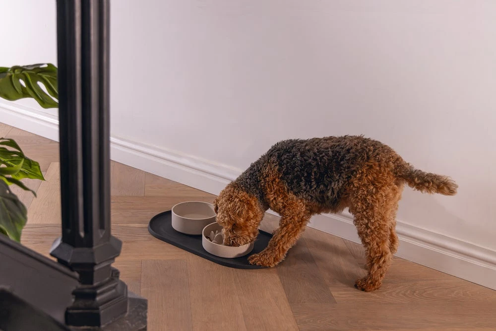 Designed By Lotte Placemat Oona Antraciet 55 X 30 X 1,7 Cm 7 Designed By Lotte Placemat Oona Antraciet 55 X 30 X 1,7 Cm - Afbeelding 5