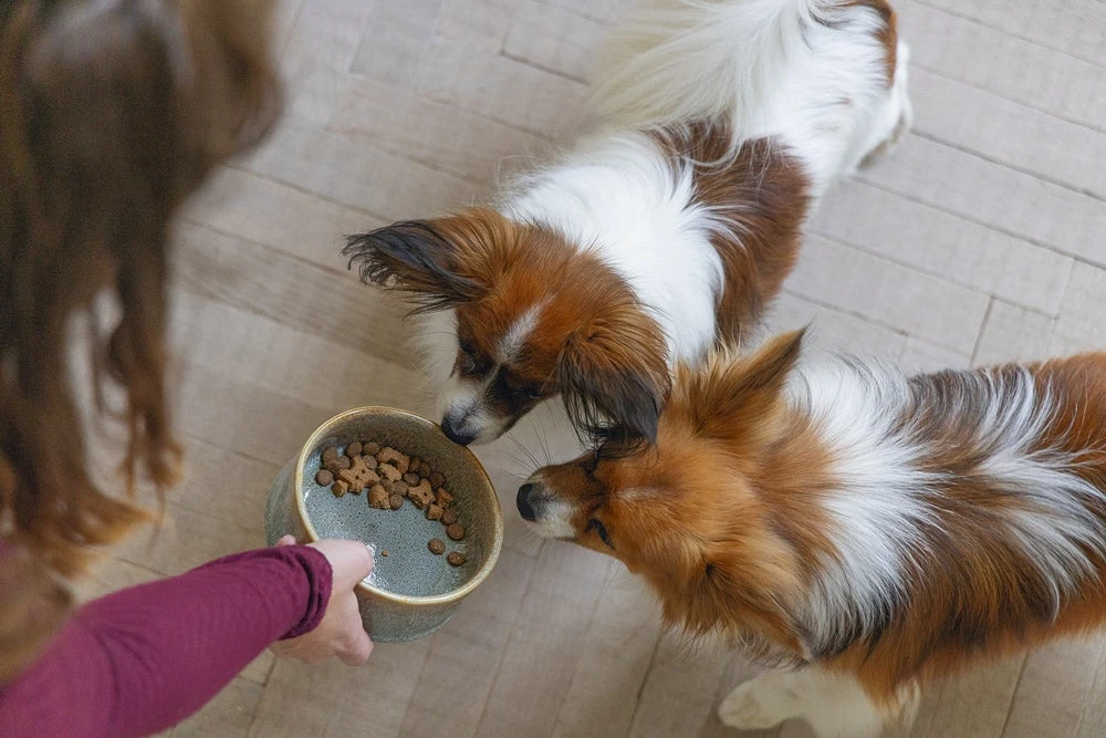 Designed By Lotte Voerbak Jace Grijs D 13,5 H 5 Cm 6 Designed By Lotte Voerbak Jace Grijs D 13,5 H 5 Cm - Afbeelding 4