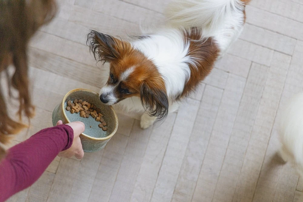 Designed By Lotte Voerbak Jace Grijs D 13,5 H 5 Cm 7 Designed By Lotte Voerbak Jace Grijs D 13,5 H 5 Cm - Afbeelding 5