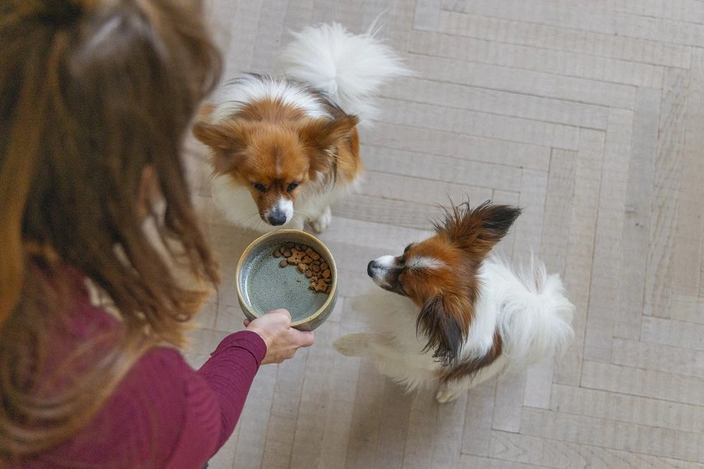 Designed By Lotte Voerbak Jace Grijs D 16 H 6 Cm 5 Designed By Lotte Voerbak Jace Grijs D 16 H 6 Cm - Afbeelding 3