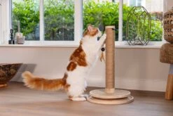 Designed By Lotte Krabpaal Zavi Bruin D 39,5 H 62 Cm -Designed By Lotte 8712695212164 13