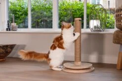 Designed By Lotte Krabpaal Zavi Bruin D 39,5 H 62 Cm -Designed By Lotte 8712695212164 18