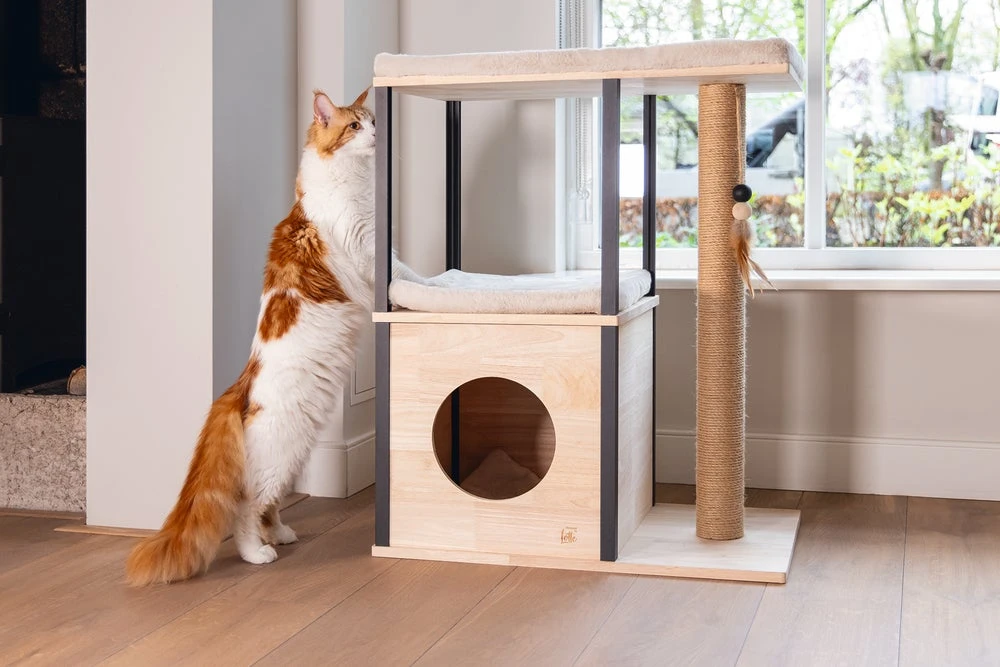 Designed By Lotte Krabpaal Nala Bruin 65 X 40 X 82 Cm 15 Designed By Lotte Krabpaal Nala Bruin 65 X 40 X 82 Cm - Afbeelding 13