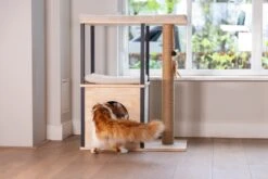 Designed By Lotte Krabpaal Nala Bruin 65 X 40 X 82 Cm 32 Designed By Lotte Krabpaal Nala Bruin 65 X 40 X 82 Cm -Designed By Lotte 8712695212171 14