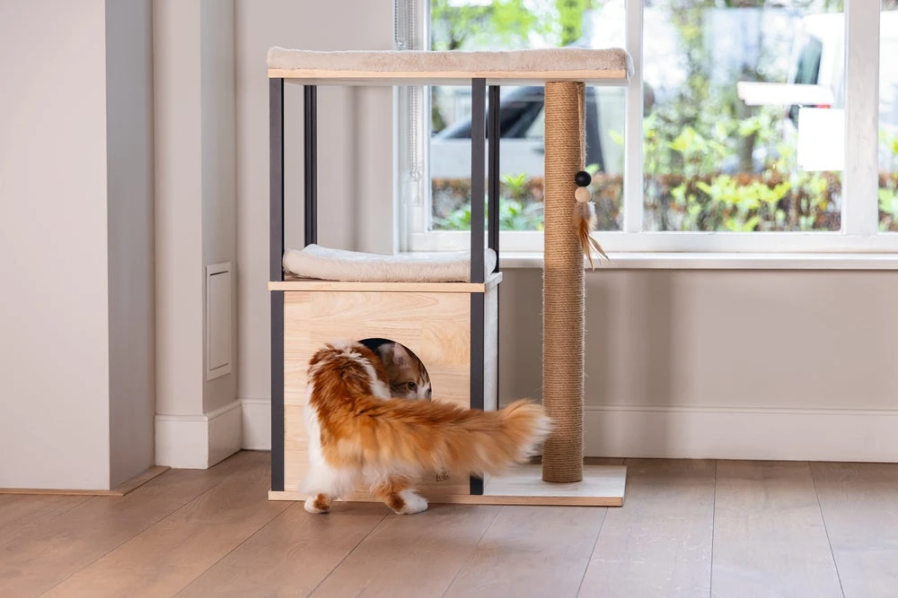 Designed By Lotte Krabpaal Nala Bruin 65 X 40 X 82 Cm 17 Designed By Lotte Krabpaal Nala Bruin 65 X 40 X 82 Cm - Afbeelding 15