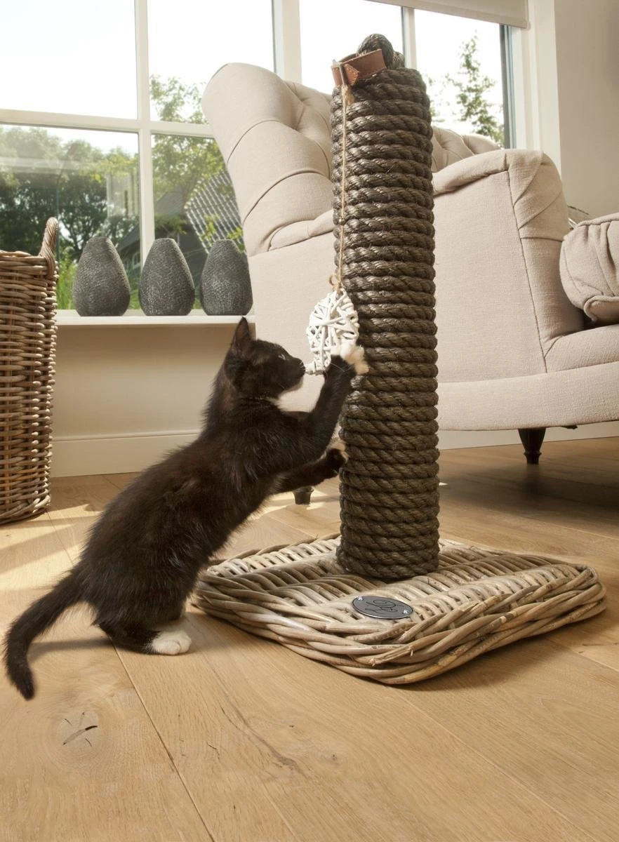 Designed By Lotte - Krabpaal - Kubu - 40x40x80 Cm 7 Designed By Lotte - Krabpaal - Kubu - 40x40x80 Cm - Afbeelding 5