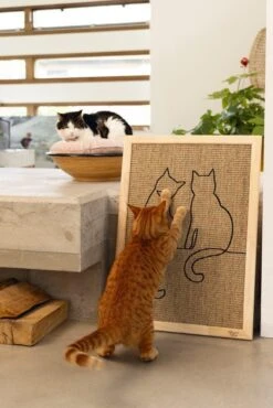 Designed By Lotte Hout Krabplank Poezels 9 Designed By Lotte Hout Krabplank Poezels -Designed By Lotte Web 0409142 sfeer1