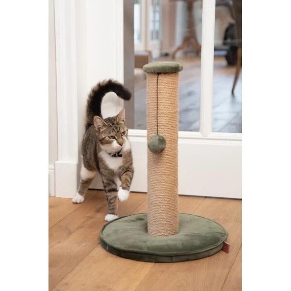 Krabpaal Yenna 35 × 35 × 60 Cm Groen - Designed By Lotte 4 Krabpaal Yenna 35 × 35 × 60 Cm Groen - Designed By Lotte - Afbeelding 2